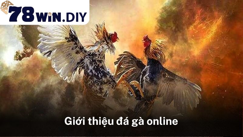 Giới thiệu đá gà online