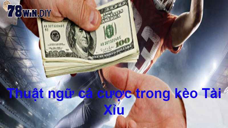 Thuật ngữ cá cược trong kèo Tài Xỉu