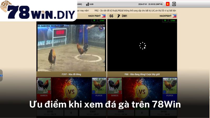 Ưu điểm khi xem đá gà trên 78Win